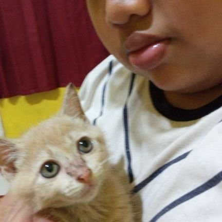 bismillahwin🦄🍒 freetag||