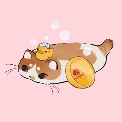 🆂🆄🅽🅳¹²⁷ - 𝙰𝚌𝚌𝚒𝚘 𝙱𝙸𝙶𝚆𝙸𝙽🪄🐈‍⬛