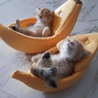 sekaiii | pls follow me back