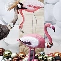 Stella Refolio Calvete