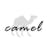 Camel Chang