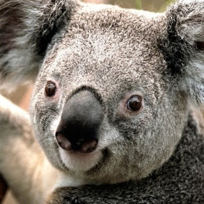 IH_ Suiswap OKX🌊📘🐐 🚢 rmosvt1.bnb link3.t