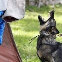 Penny Jernigan Moore