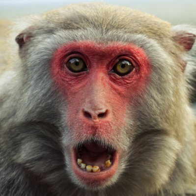 ProductHunt profile picture for @jose_a