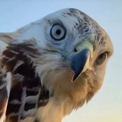 İdris Atirak ektor.stark 🛸 🐐 #Metatime