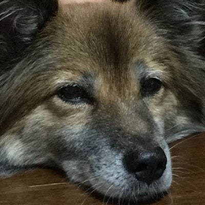 ひで@責任者はどこか