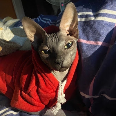 Евгений Лукьянчиков