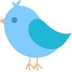 Blue Robin Marketing