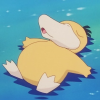 Karim Cheurfi (fishr)