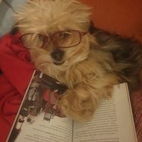 Raysa Yamila Rojs Terol