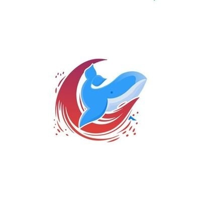 Babäñgida Åbdulazeez | Seistorm 👮