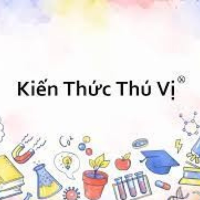Kiến thức Thú vị