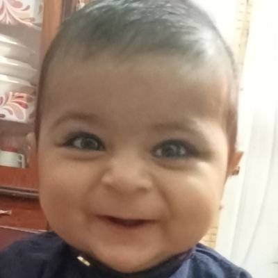 Matloob| Suiswap IDO 06/03