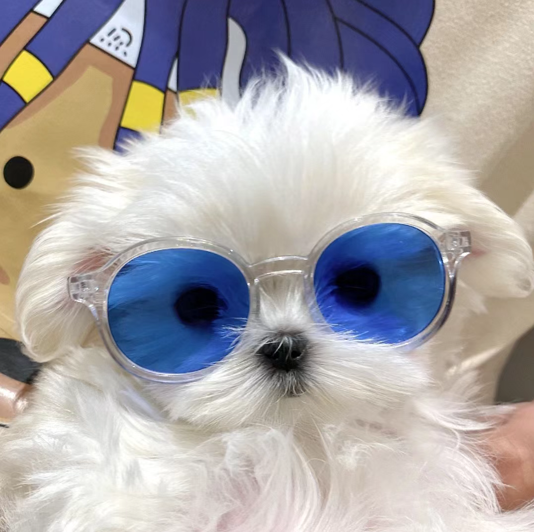 ProductHunt profile picture for @miksa