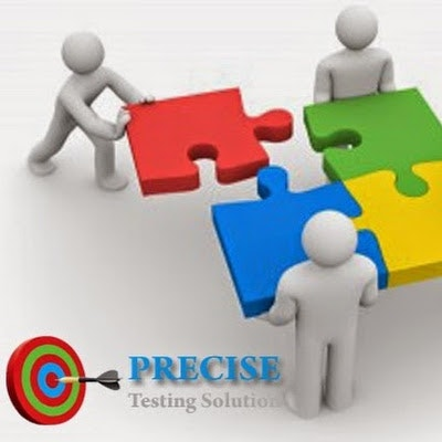Precise Testing Solution