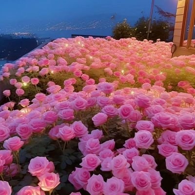 Наблюдатель