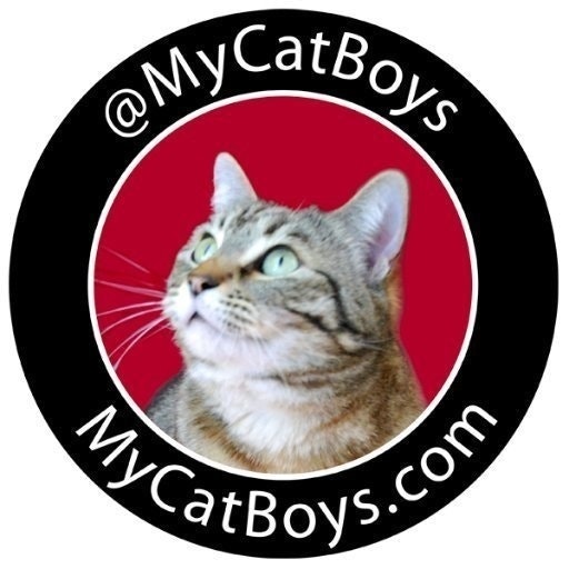 MyCatBoys
