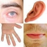 R4f-Raphael Rousseau