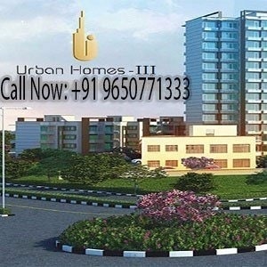 Pyramid Homes 3
