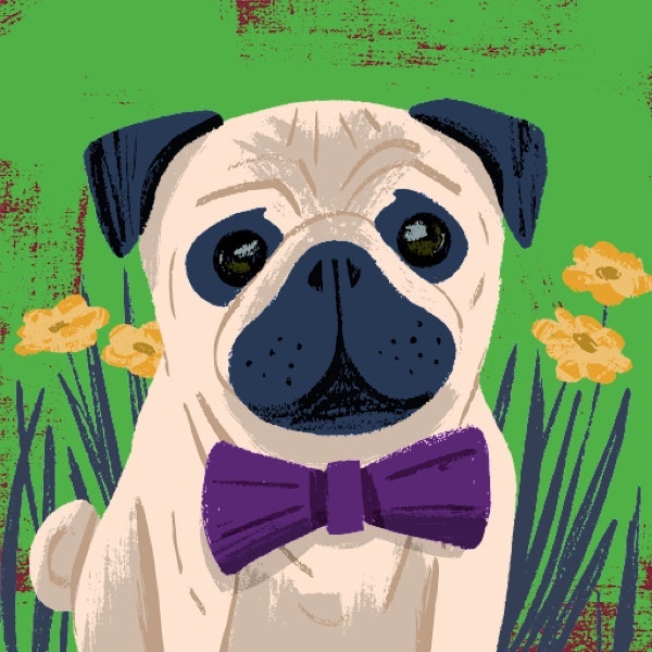 Денис Вербицкий