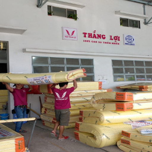 Nệm cao su non vạn thành ntk