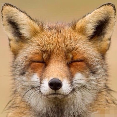 ProductHunt profile picture for @kitchen