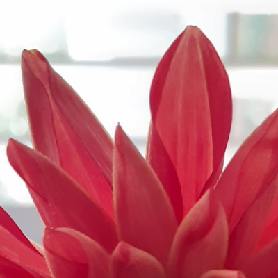 Sahera uk Islington vlogger