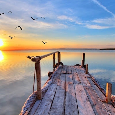 YANG “你好我的名字叫V” HU