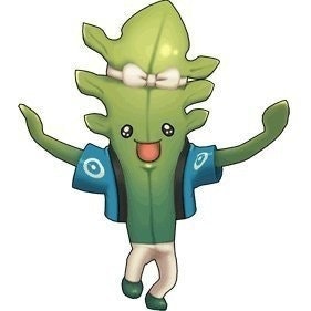 わかめ@名古屋スタートアップ