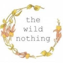 the wild nothing