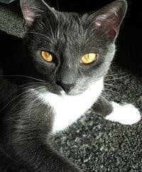 Natalja Mekšriūnienė