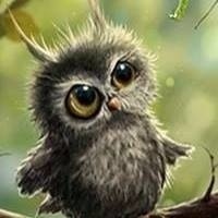 Саша Меженкова