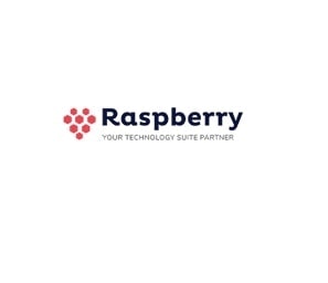 Raspberry IT Services