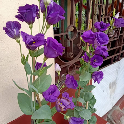 Barnali Bhattacharjee