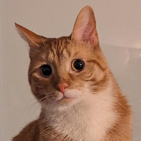 Andrei