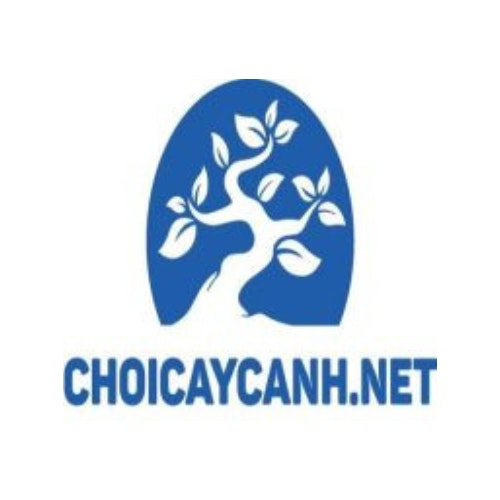 Chơi Cây Cảnh