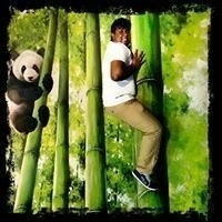 Vigneash Vaidyanathan