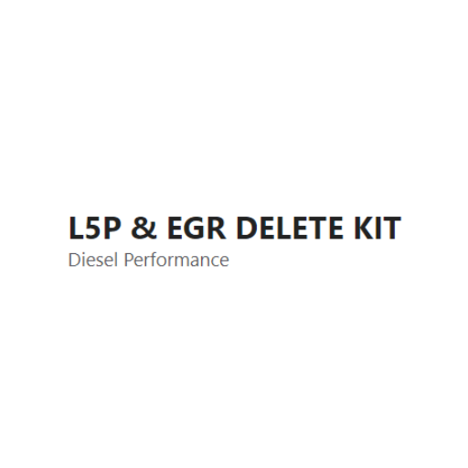 EGR DELETE KIT