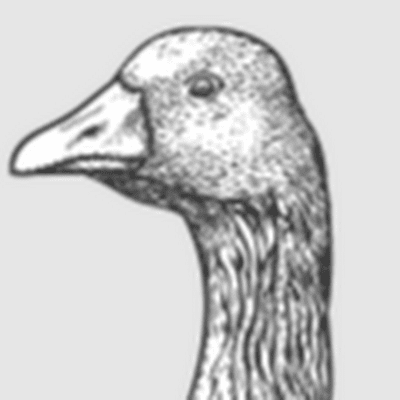 ProductHunt profile picture for @mice