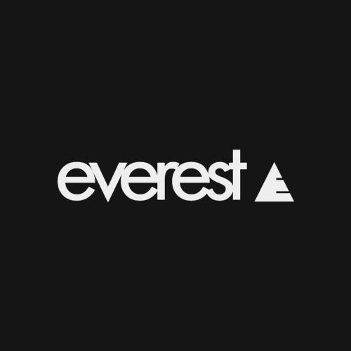 Everest Media Group