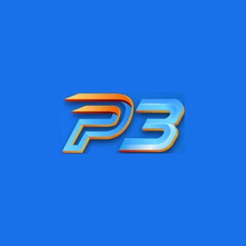 P3