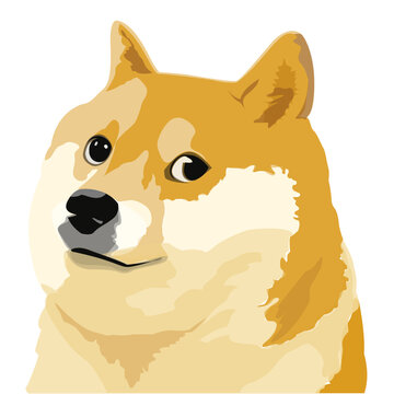 imdoge