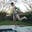 Zack Abbott
