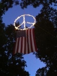 Patricia Nelson-Tippit