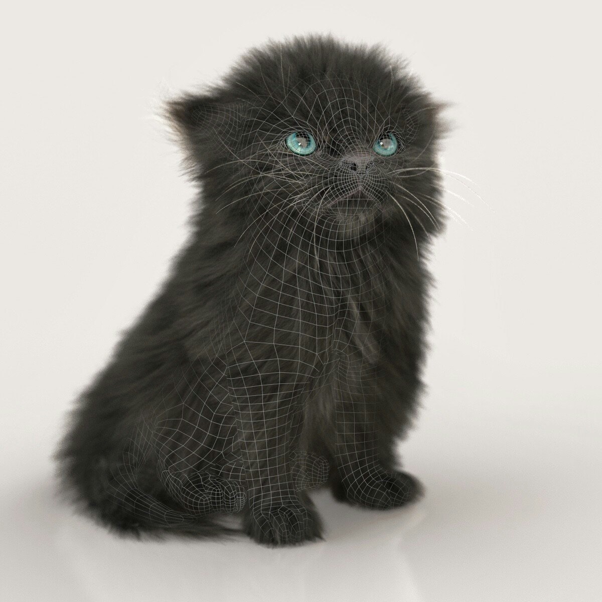 Petsonal