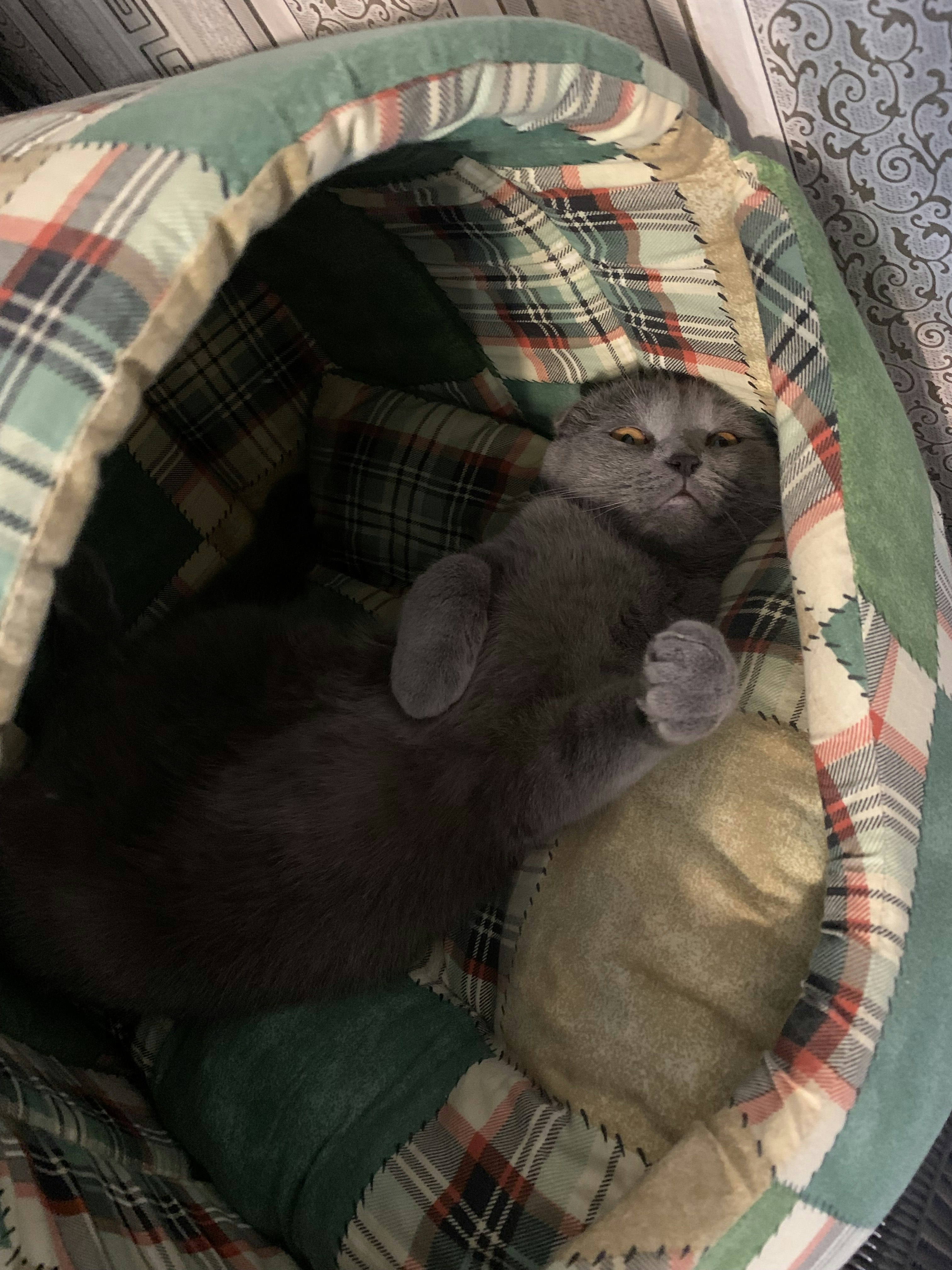 олeг марчeнко