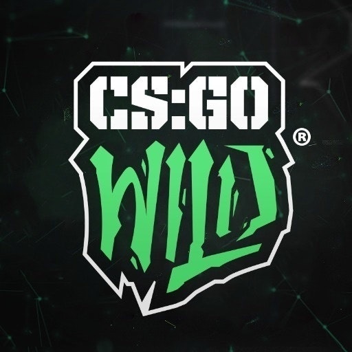 CSGOWild