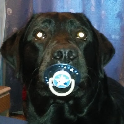 Konstantin Aleschenkov