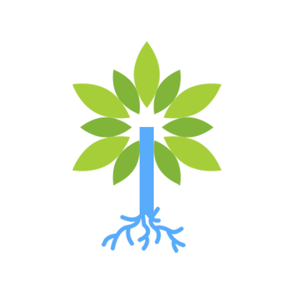 Humadales y Manglares De Mexico