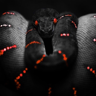 albert onetti cifuentes